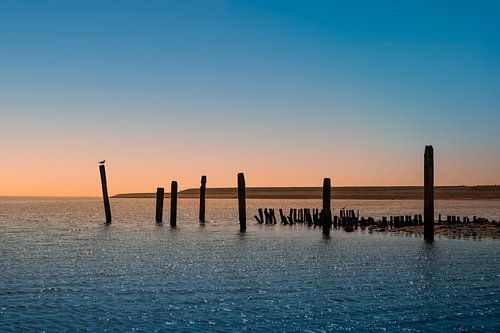 Zonsondergang haven De Cocksdorp, Texel