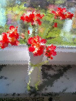 Fresias parfumées à l'orange