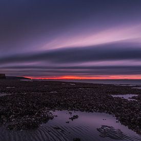 Les bancs d'huîtres de la plage de l'Oranjemolen sur Robin Hardeman