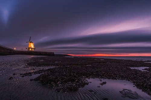 Les bancs d'huîtres de la plage de l'Oranjemolen