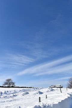 Ein Apfelbaum auf einem Feld im Winter von Claude Laprise