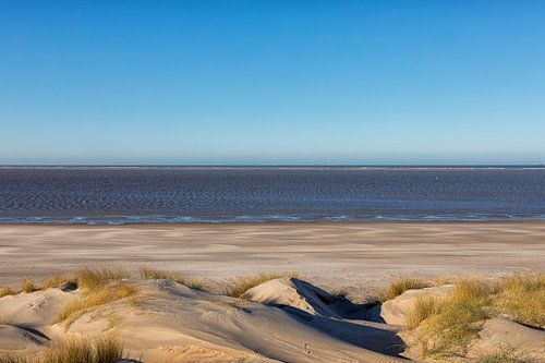 Duinen, strand en zee
