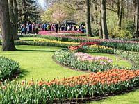 De kleurenpracht op de Hollandse Keukenhof.