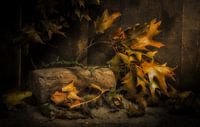 Herfst