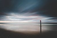 Texel XXVI