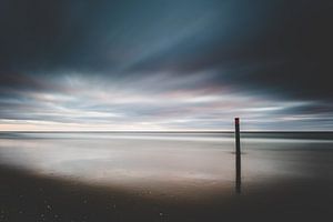 Texel XXVI
