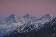 Sonnenuntergang Berner Alpen von Martin Steiner Miniaturansicht