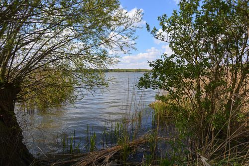 Biesbosch-Nationalpark