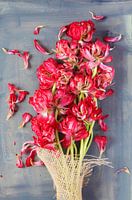 Tulpenstrauss