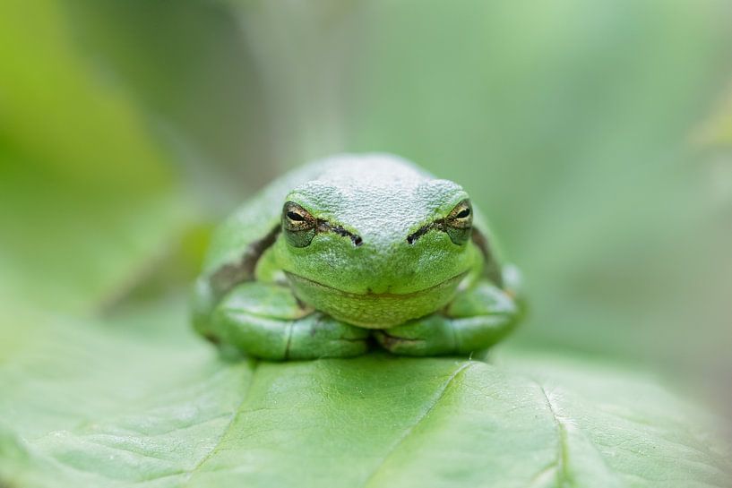 Relax by Larissa Rand