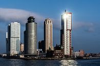 Rotterdam van Eddy Westdijk thumbnail