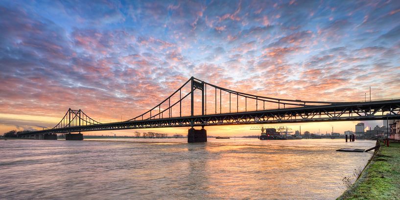 Krefeld-Uerdinger Rheinbrücke bei Sonnenaufgang von Michael Valjak