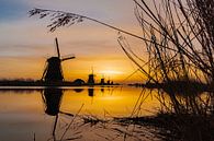 Une vue naturelle jusqu'aux moulins à vent de Kinderdijk par Albert Lamme Aperçu
