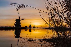 Une vue naturelle jusqu'aux moulins à vent de Kinderdijk