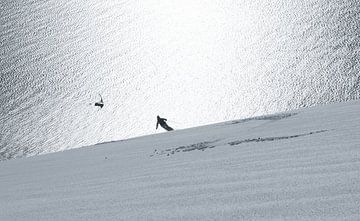 Sail und Ski  in den Lyngenalpen, Norwegen von Menno Boermans