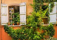 French facade with climbing plant and shutters