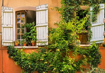 Französische Fassade mit Kletterpflanze und Fensterläden