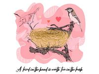 Birds, Nest, and Proverb Illustration