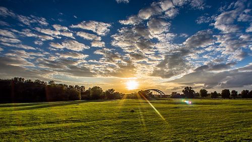 Hedel van Michel de Koning