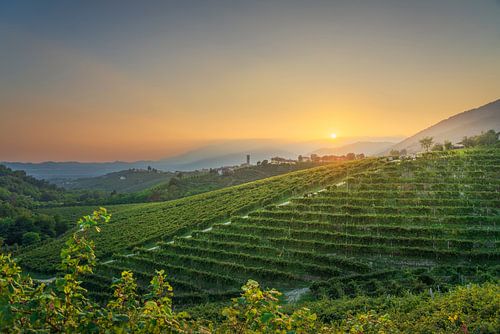 Prosecco heuvels, wijngaarden en San Pietro di Barbozza dorp