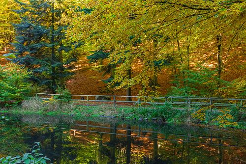 Im Teich spiegeln sich die bunten Herbstfarben