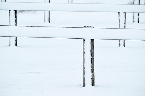 Minimalistische foto met sneeuw van Sjoerd van der Hucht