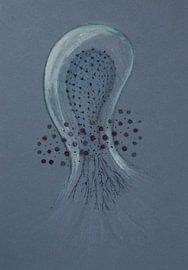 Jellyfish cloud