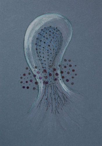 Jellyfish cloud