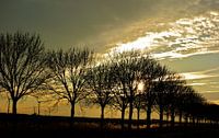 Landschap / lucht / zonsondergang van Moodshots  .nl thumbnail