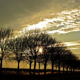 Landschap / lucht / zonsondergang von Moodshots  .nl