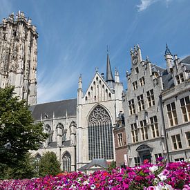 St Rombout's Cathedral in Mechelen is the main church of the Archdiocese of Mechelen-Brussels by W J Kok