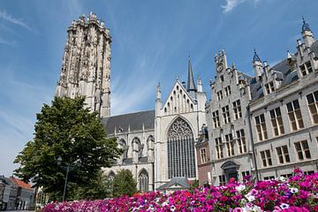 St Rombout's Cathedral in Mechelen is the main church of the Archdiocese of Mechelen-Brussels by W J Kok