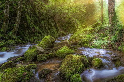 Kleiner Wildbach im Schwarzwald