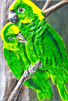 Grüne Amazonenpapageien