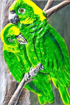 Green Amazon Parrots van Floris Betrouw