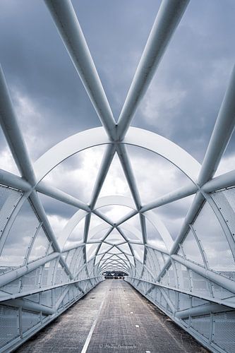 The Green Connection