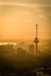 Euromast in Rotterdam bei Sonnenuntergang über der Maas