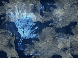 Mitternachtsblätter. Botanische Kunst in Blau I von Dina Dankers
