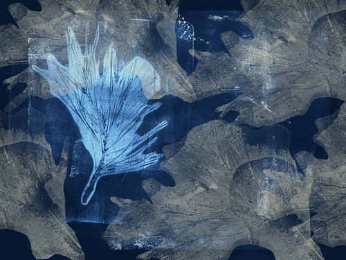 Mitternachtsblätter. Botanische Kunst in Blau I