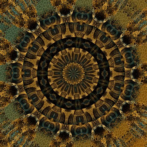 Fur and Skin by Carla van Zomeren