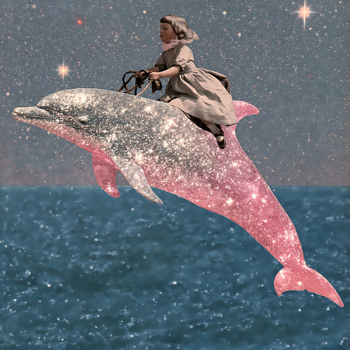 Kunstwerk „Rosa Sterne“: Mädchen reitet voller Selbstvertrauen auf einem Delfin