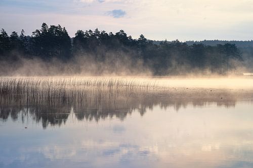Mist in het water bij zonsopgang op een Zweeds meer