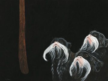 Die Beobachter
