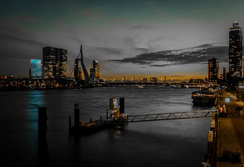 Schwan über die Neue Maas, nach der blauen Stunde