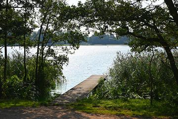 Een steiger in het Haarlemmermeerse bos met zicht op een meer van JGL Market