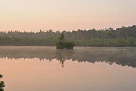 Island of Tranquillity by Vague & Form
