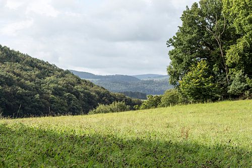 Diemelsee bergen met bomen, Duitsland