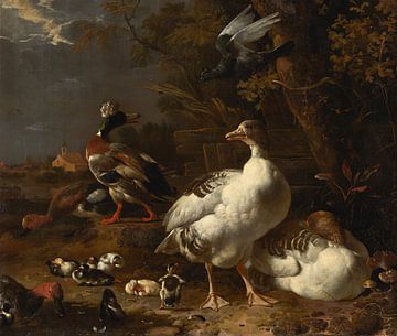 Ganzen en eenden, Melchior d'Hondecoeter