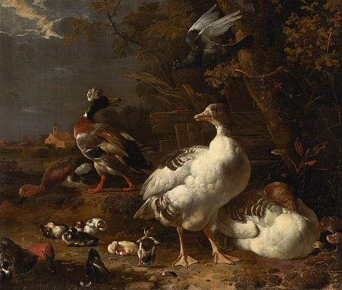 Ganzen en eenden, Melchior d'Hondecoeter
