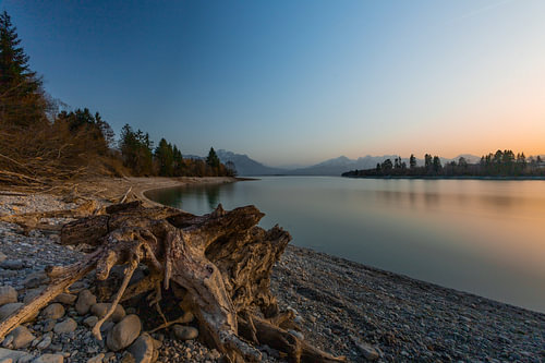 Abendstimmung am Forggensee
